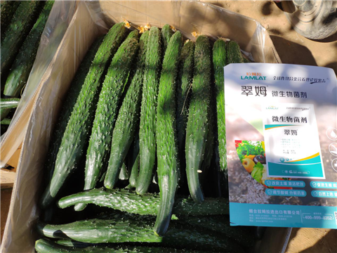 微生物菌劑，拉姆拉，翠姆
