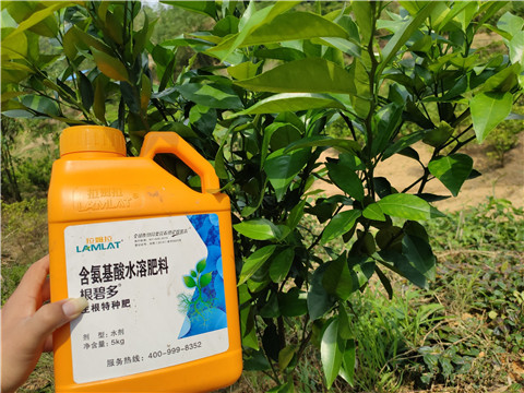 沖施肥，拉姆拉，翠姆