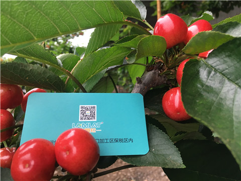 大量元素水溶肥，拉姆拉，翠姆
