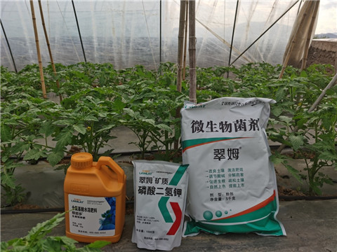 水溶肥，拉姆拉，翠姆
