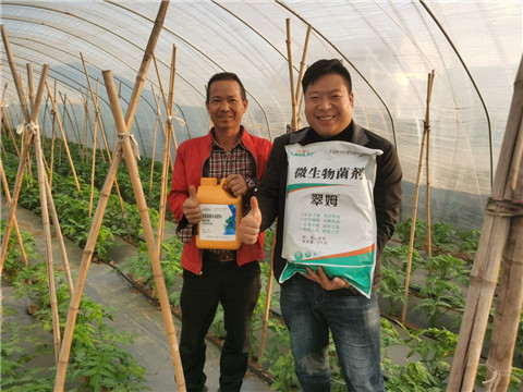 水溶肥，拉姆拉，翠姆