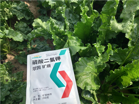 水溶肥，拉姆拉，翠姆