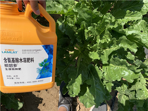 水溶肥，拉姆拉，翠姆