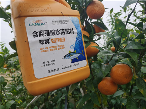 水溶肥，拉姆拉，翠姆