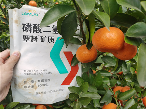 水溶肥，拉姆拉，翠姆