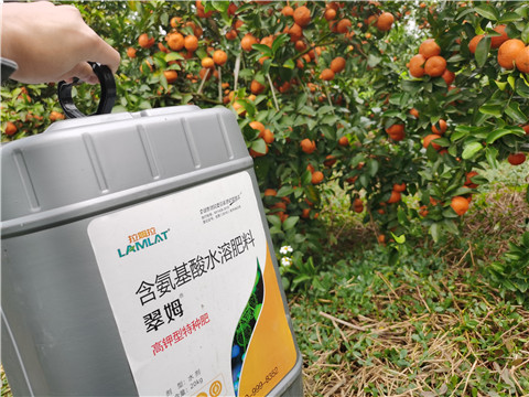水溶肥，拉姆拉，翠姆