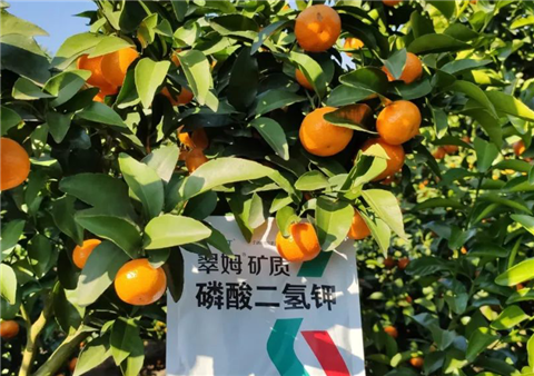 磷酸二氫鉀，拉姆拉，翠姆