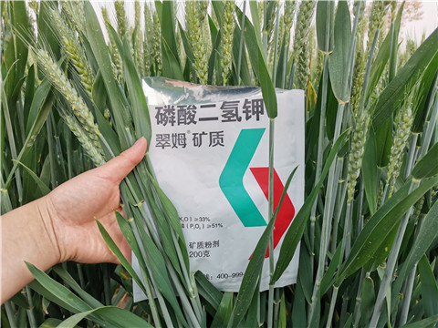 葉面肥，水溶肥，磷酸二氫鉀