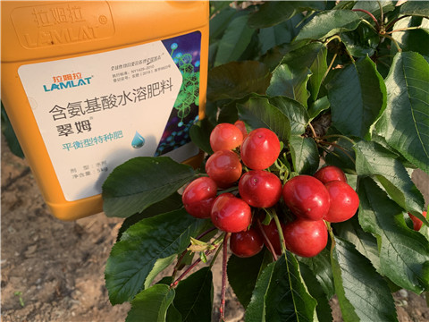 氨基酸水溶肥，拉姆拉，翠姆