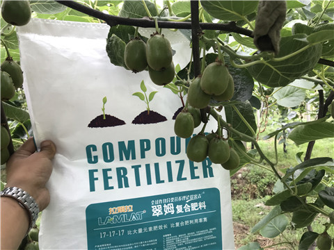 顆粒水溶肥，拉姆拉，翠姆