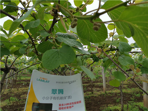 小分子有機(jī)碳，拉姆拉，翠姆