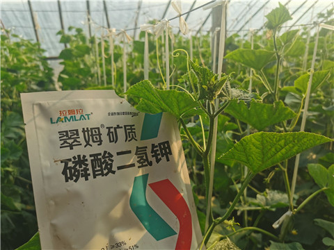 水溶肥，拉姆拉，翠姆