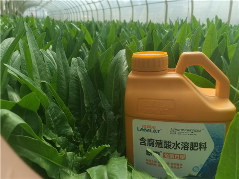 沖施肥，拉姆拉，翠姆