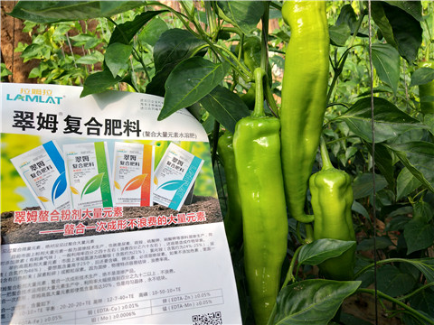 辣椒，拉姆拉，翠姆