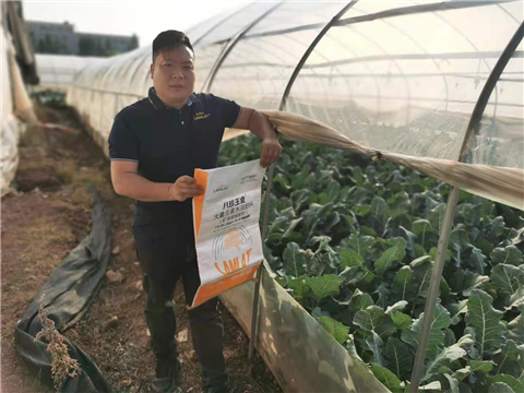 大量元素水溶肥，拉姆拉，翠姆