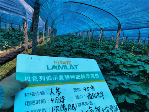水溶肥，拉姆拉，翠姆