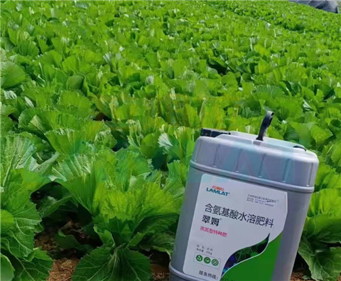 水溶肥，翠姆，拉姆拉