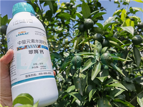 水溶肥，拉姆拉，翠姆