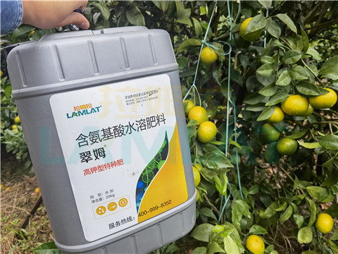 水溶肥，拉姆拉，翠姆