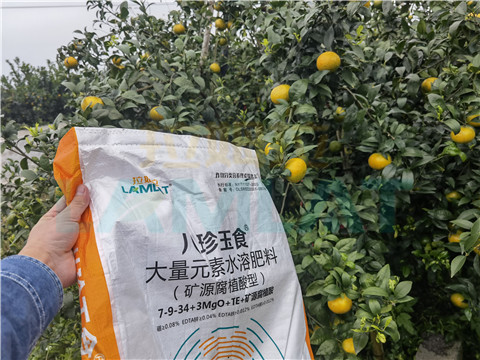 水溶肥，拉姆拉，翠姆