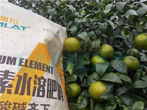 水溶肥，拉姆拉，翠姆