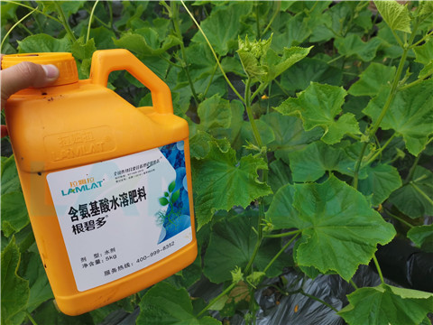 水溶肥，拉姆拉，翠姆