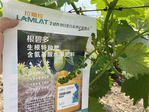 水溶肥，拉姆拉，翠姆