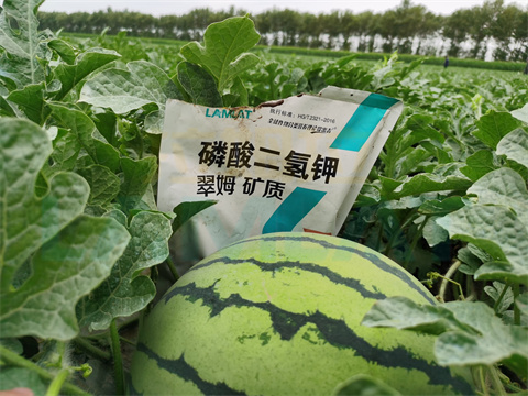 水溶肥，拉姆拉，翠姆