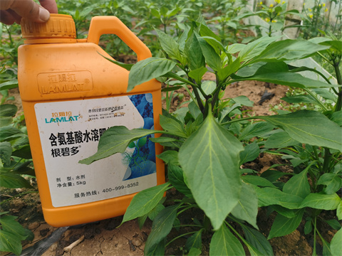 水溶肥，翠姆，拉姆拉