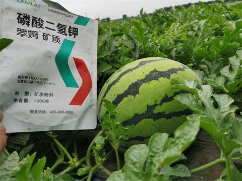 水溶肥，翠姆，拉姆拉