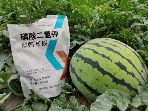 水溶肥，翠姆，拉姆拉